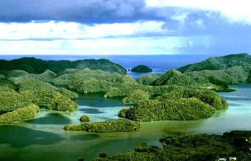 Carp Island