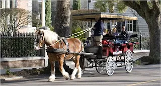 Carriage Tour of Charleston