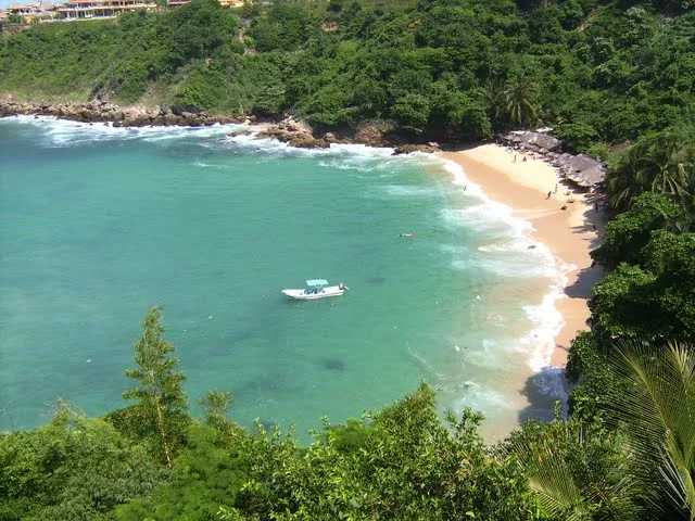 Carrizalillo Beach