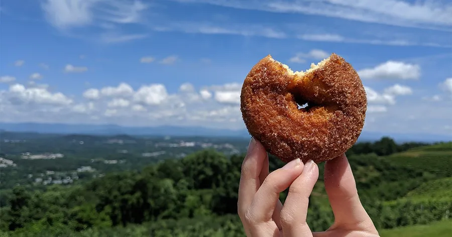 Carter Mountain Orchard