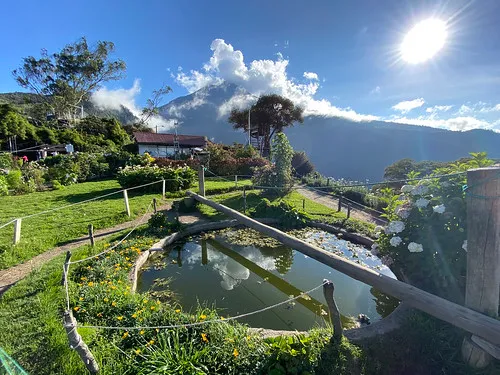 Casa del Arbol