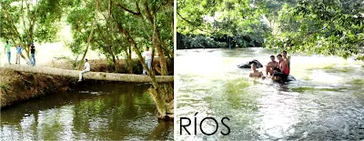 Cascada El Salto del Armadillo