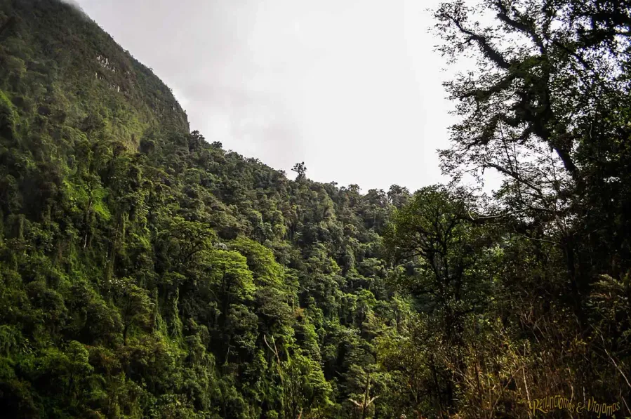 Cascada Salto de Ahuacatlán