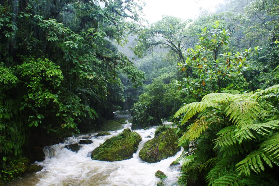 Cascadas Las Brisas