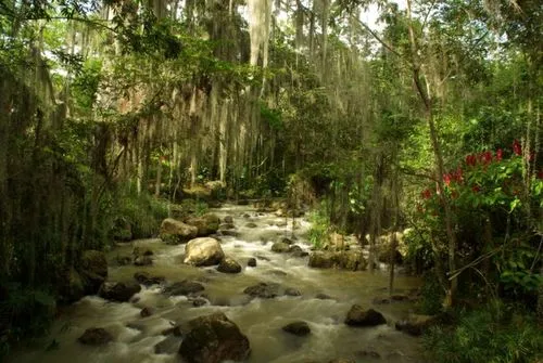 Cascadas de Juan Curí