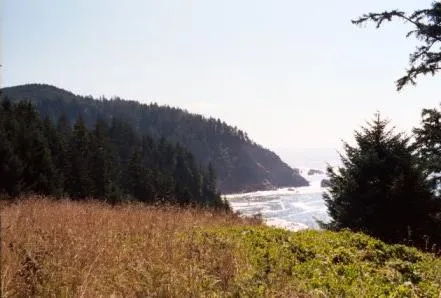 Cascade Head Scenic Research Area