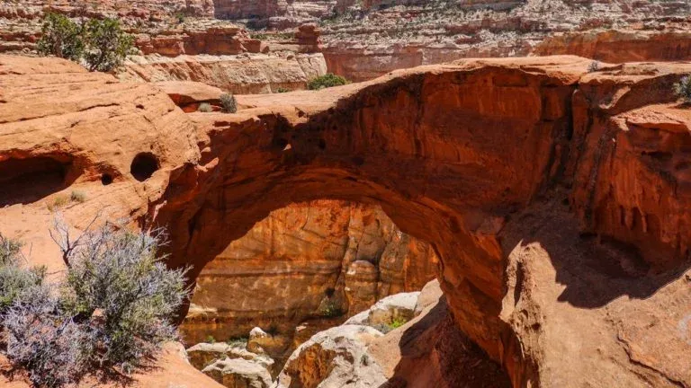 Cassidy Arch