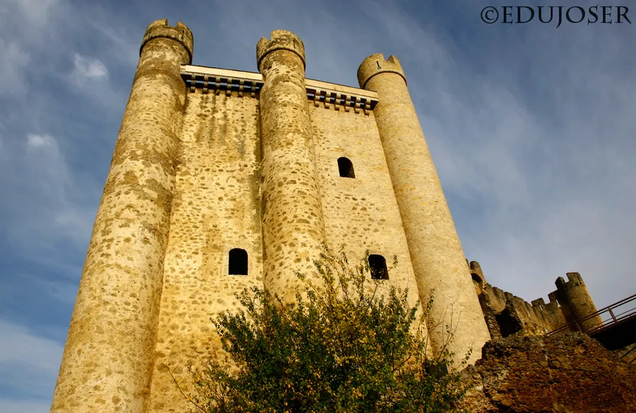 Castillo de Valencia de Don Juan
