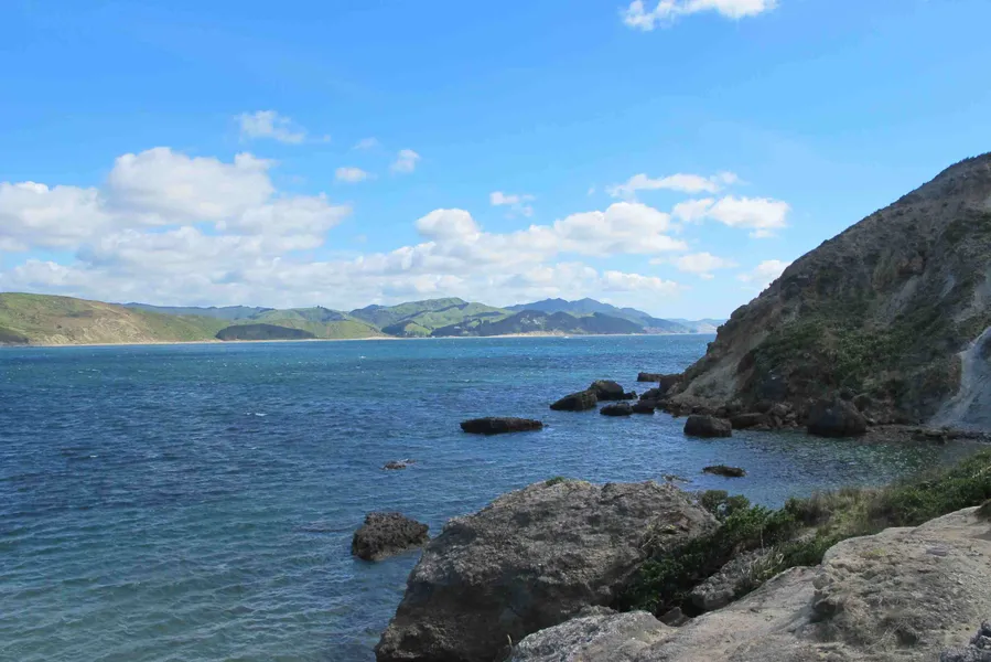 Castlepoint Beach