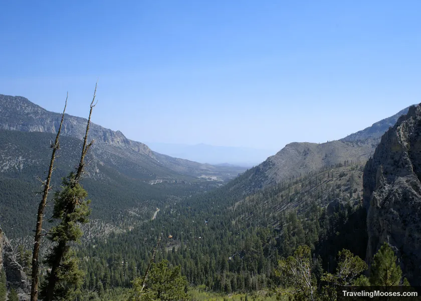 Cathedral Rock Trail
