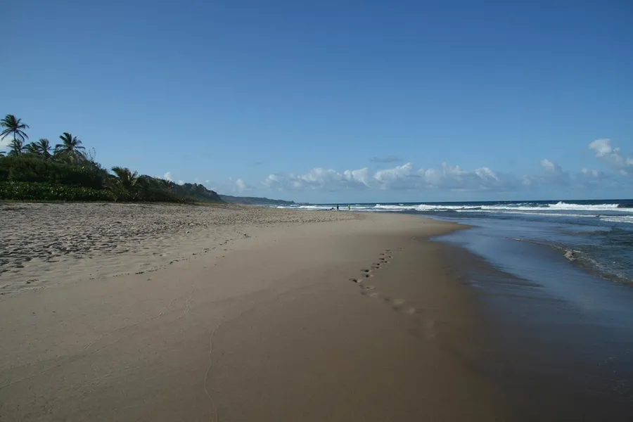 Cattlewash Beach