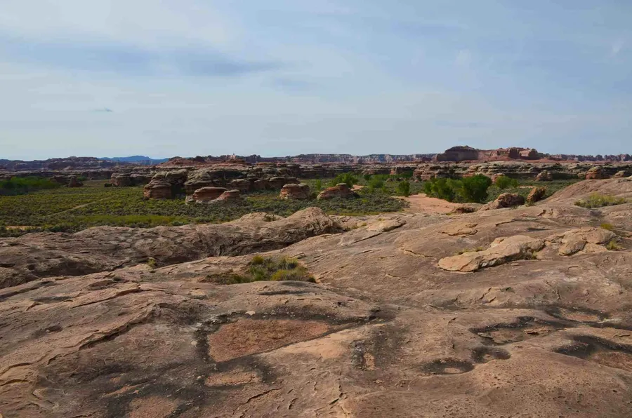 Cave Spring Trail