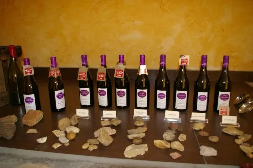 Caves de Nuits-Saint-Georges