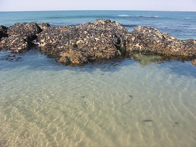 Caxinas Beach