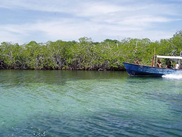 Cayo Herradura