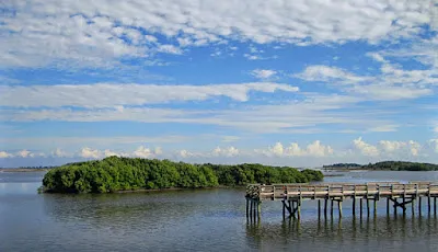 Cedar Key Scrub State Reserve