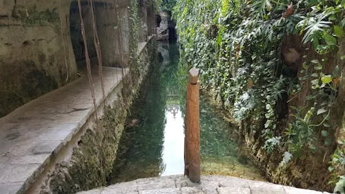 Cenote Multum-Ha