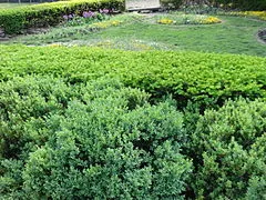 Centennial Park