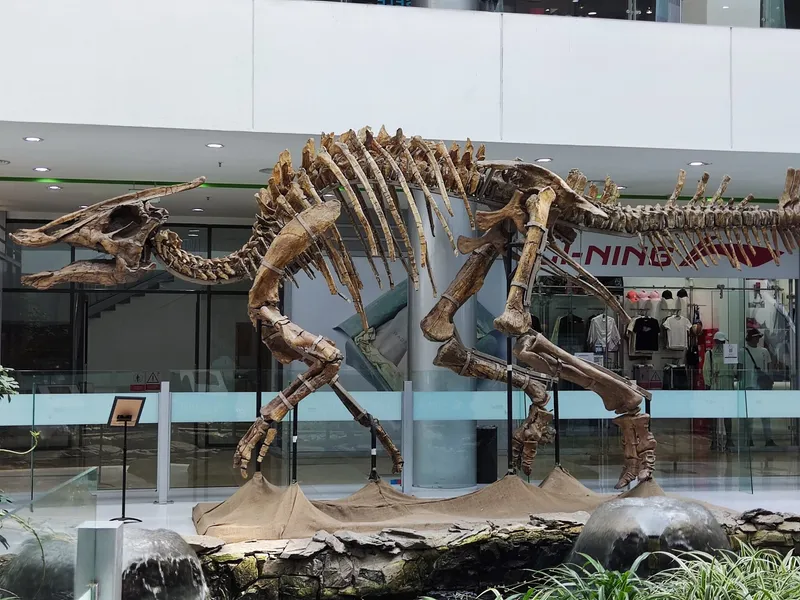 Central Museum of Mongolian Dinosaurs