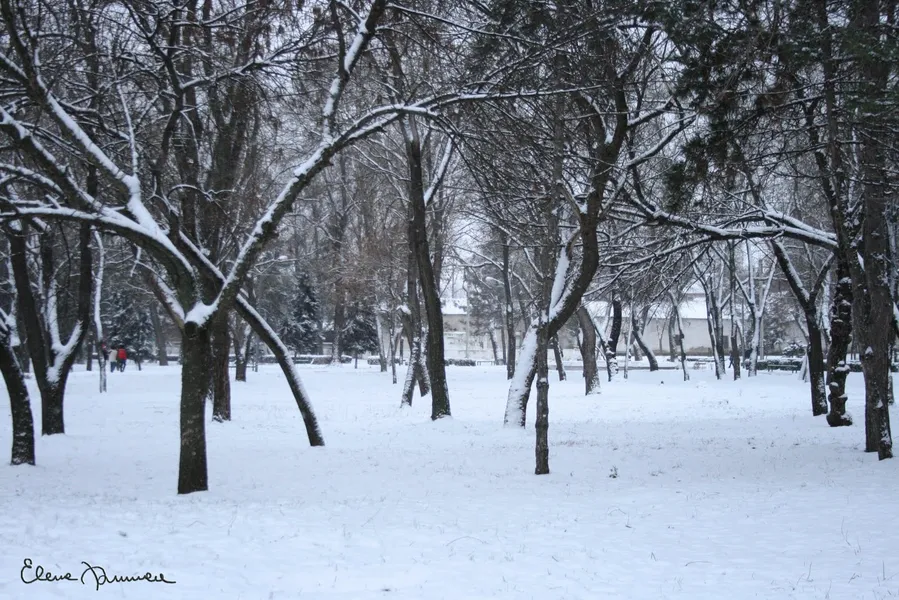 Central Park of Balti