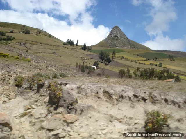 Cerro Jaboncillo (near Portoviejo)