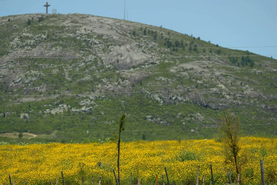 Cerro Pan de Azúcar