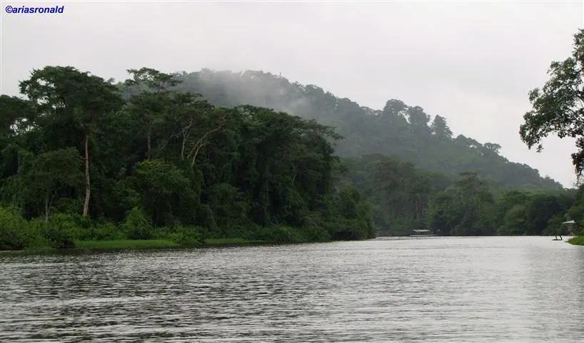 Cerro Tortuguero