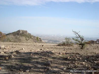 Cerro de la Mesa