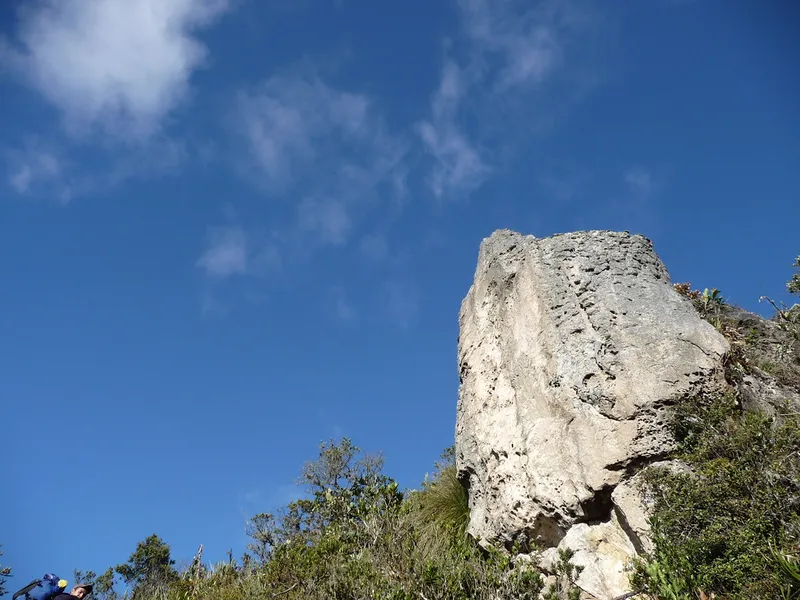 Cerro de la Pionono