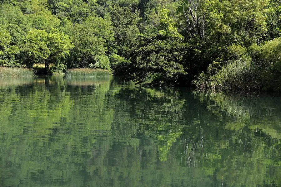 Cetina River Rafting