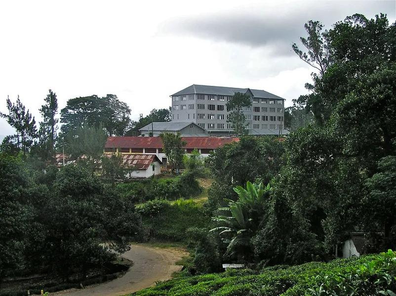 Ceylon Tea Museum