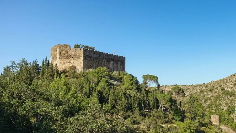 Château de Castelnou