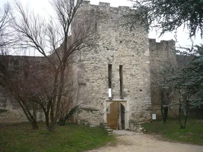 Château des Adhémar