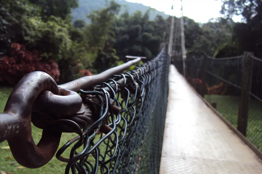 Chain Bridge Honey Farm