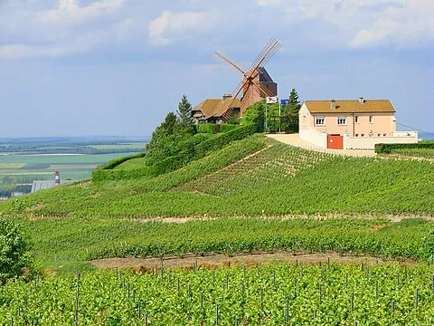 Champagne G.H. Mumm