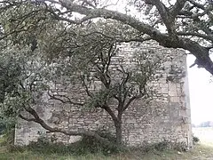 Chapelle Notre-Dame de Romanin