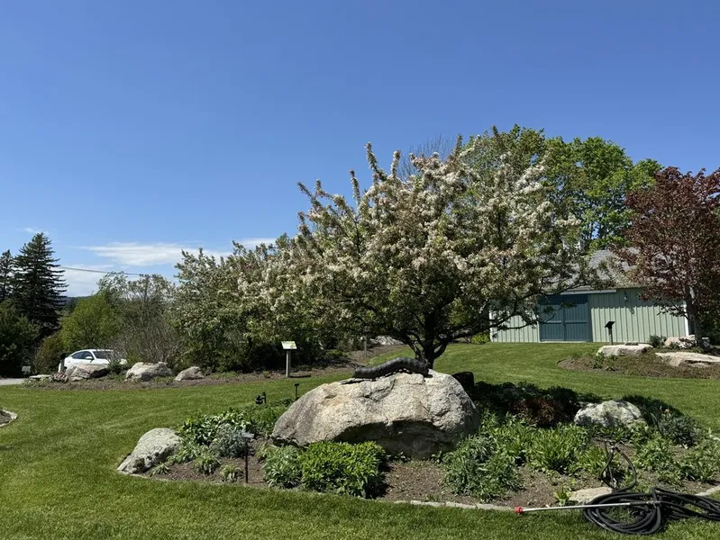 Charlotte Rhoades Garden