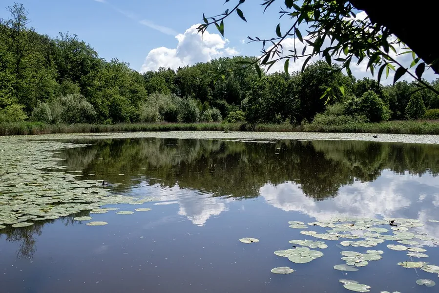 Charlottensee