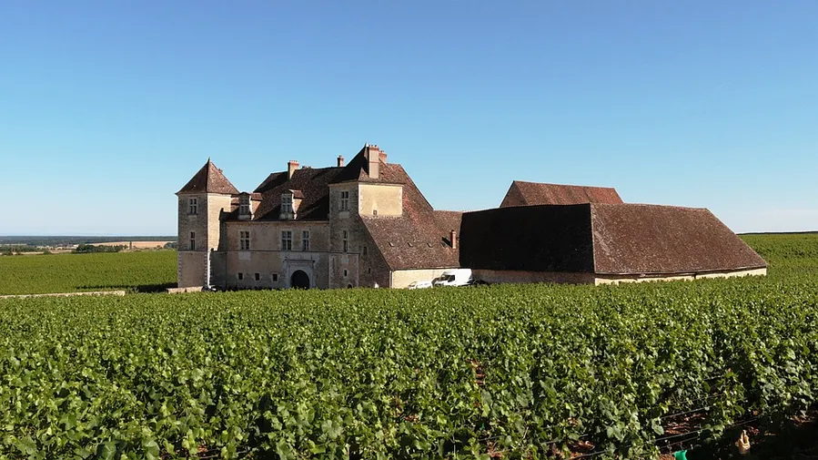 Chateau Morrisette Winery