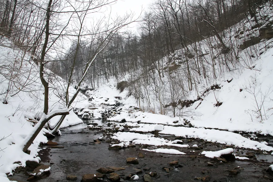 Chedoke Falls