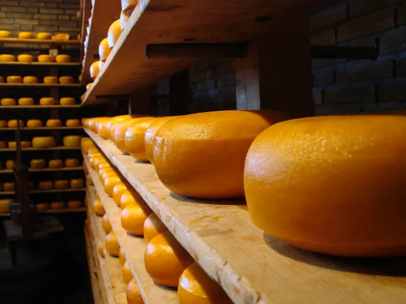 Cheese Factory Volendam