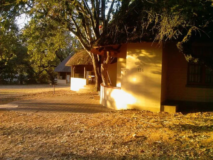 Cheetah Plains