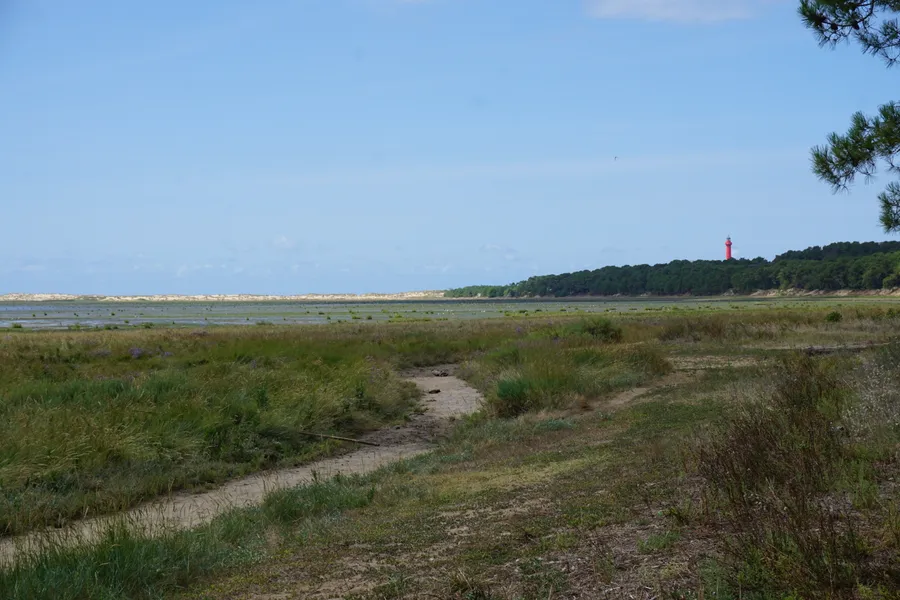 Chemins de la Seudre à vélo