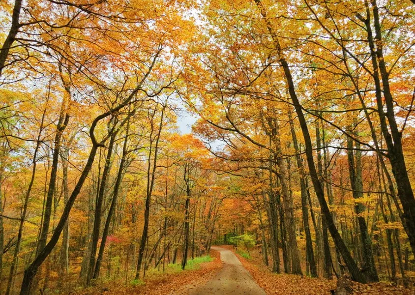 Cherokee Park
