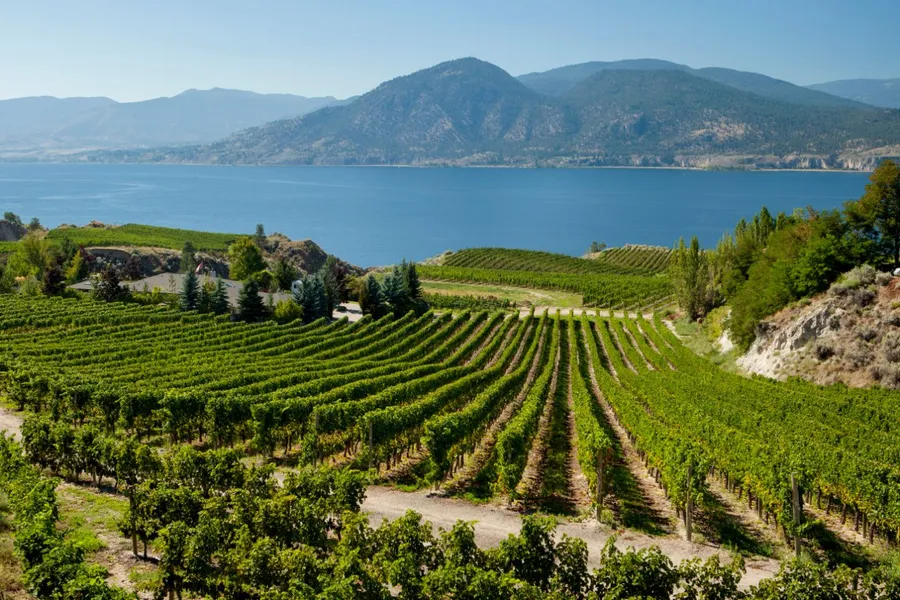 Cherry Point Estate Wines