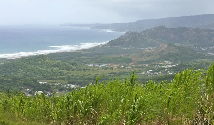 Cherry Tree Hill