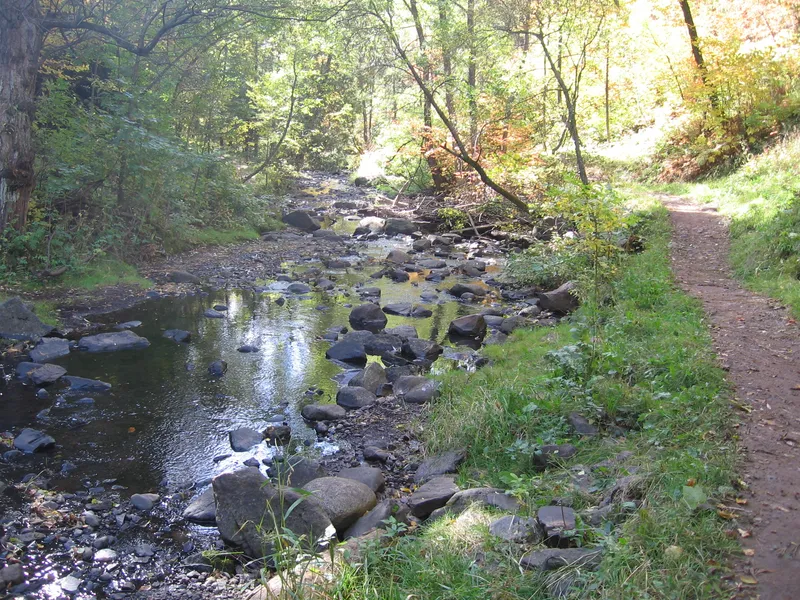 Chester Creek Trail