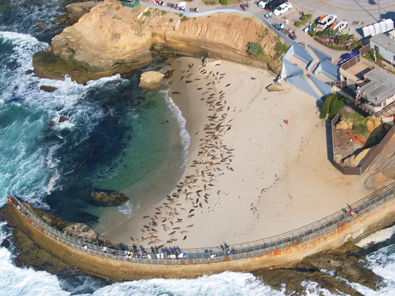 Children's Pool Beach