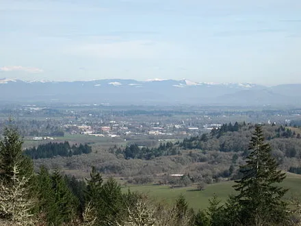 Chintimini Park