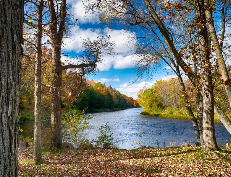 Chippewa Nature Center